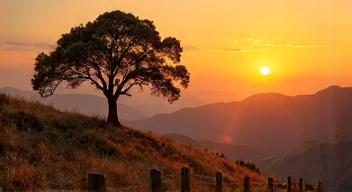 Perspektiven zu Einsamkeit und Lebensqualität